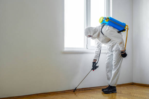 Best Termite Inspection and Treatment  in Windsor, PA